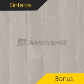 Дизайн - Sinteros BONUS - REPIN 2