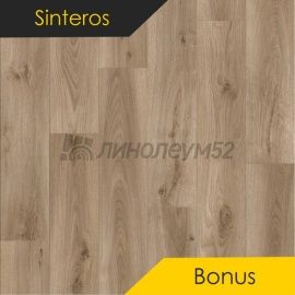 Дизайн - Sinteros BONUS - PLATON 4