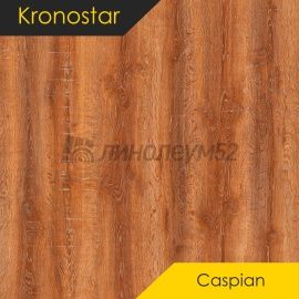Дизайн - Kronostar Ламинат 8/32 - CASPIAN / ДУБ ФЛЭМИНГ D50247